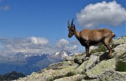 45 ...tra la nuvoletta e il Disgrazia !